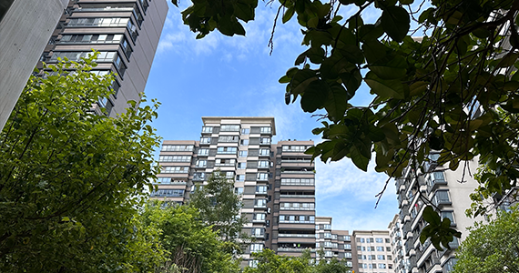 宝玉子域名在线查询