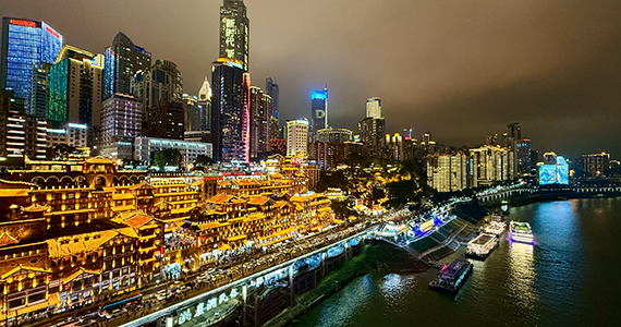 域名注册证书查询