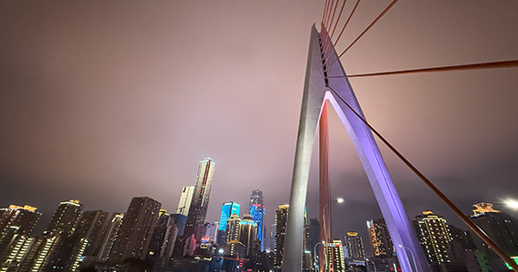 域名注册邮箱查询